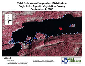 Vegetation Distribution